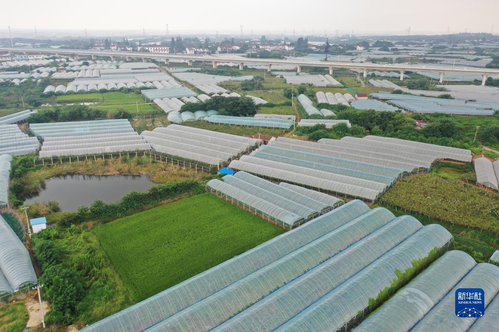 银河网站是什么